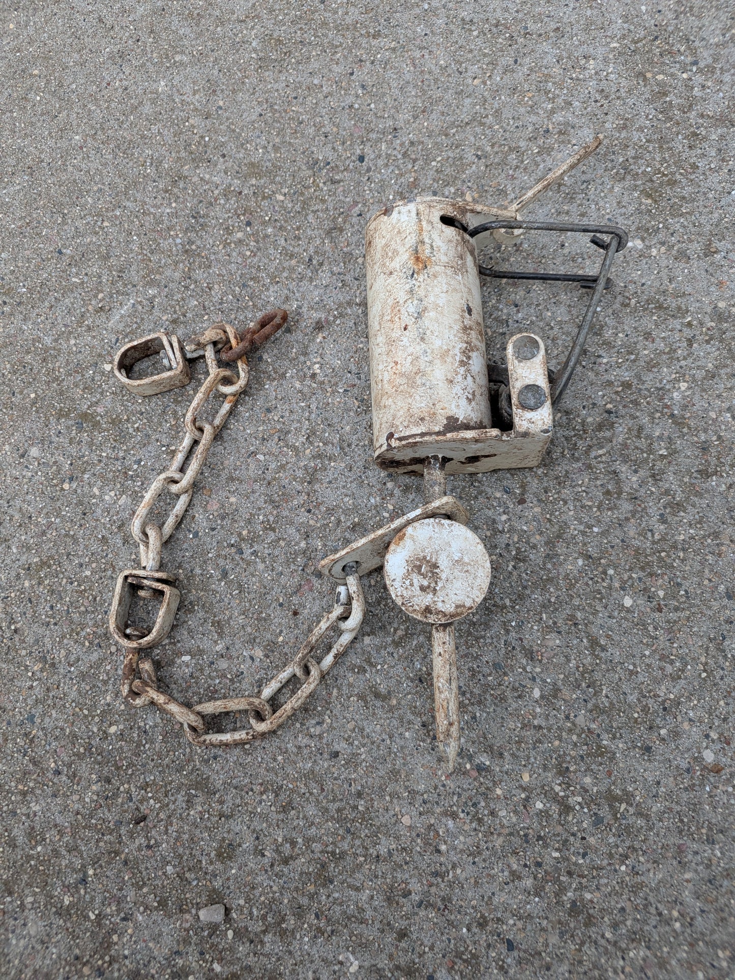 Used Ztraps, dog proof raccoon traps