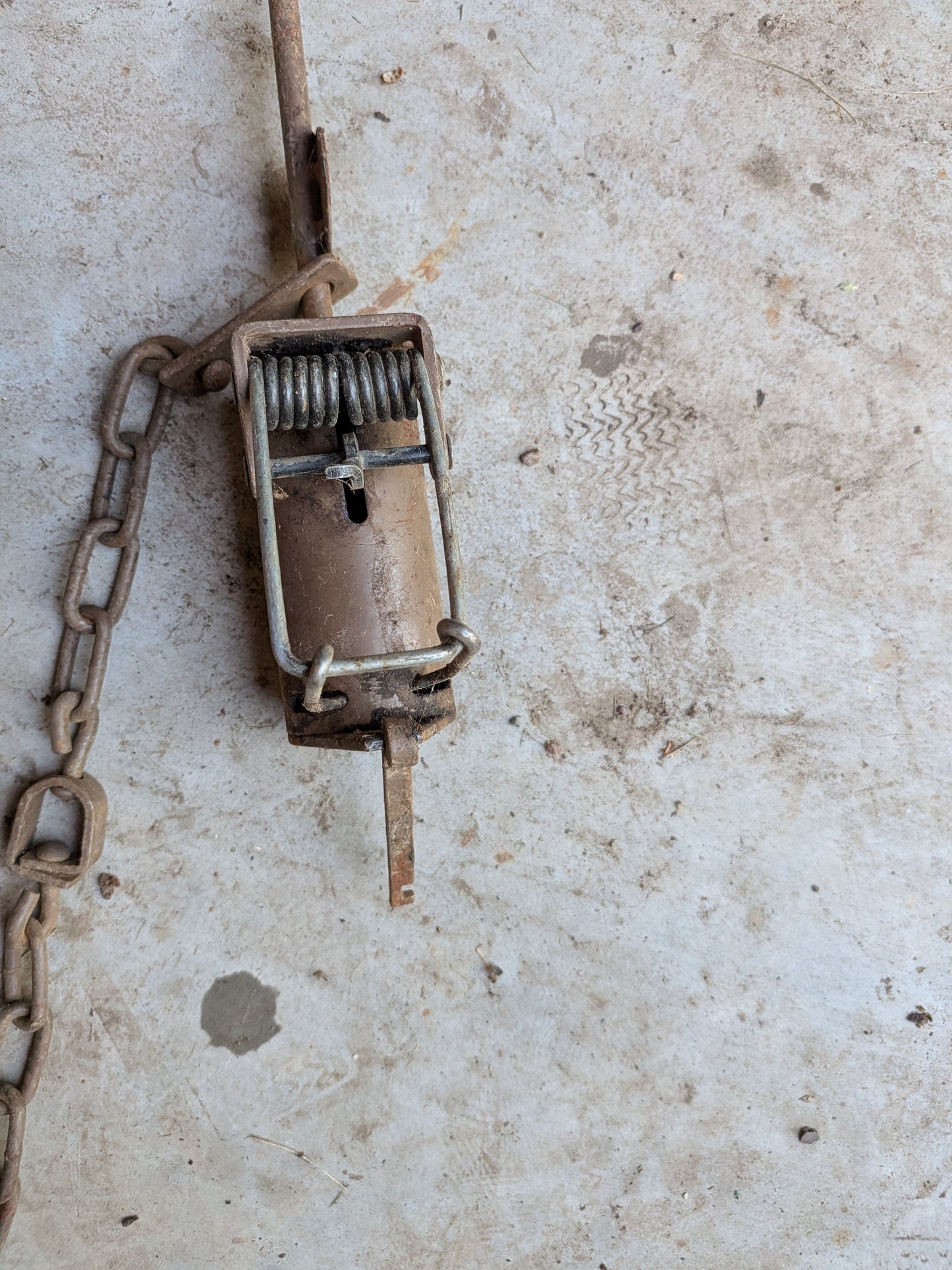 Used Ztraps, dog proof raccoon traps Ztrapbrown