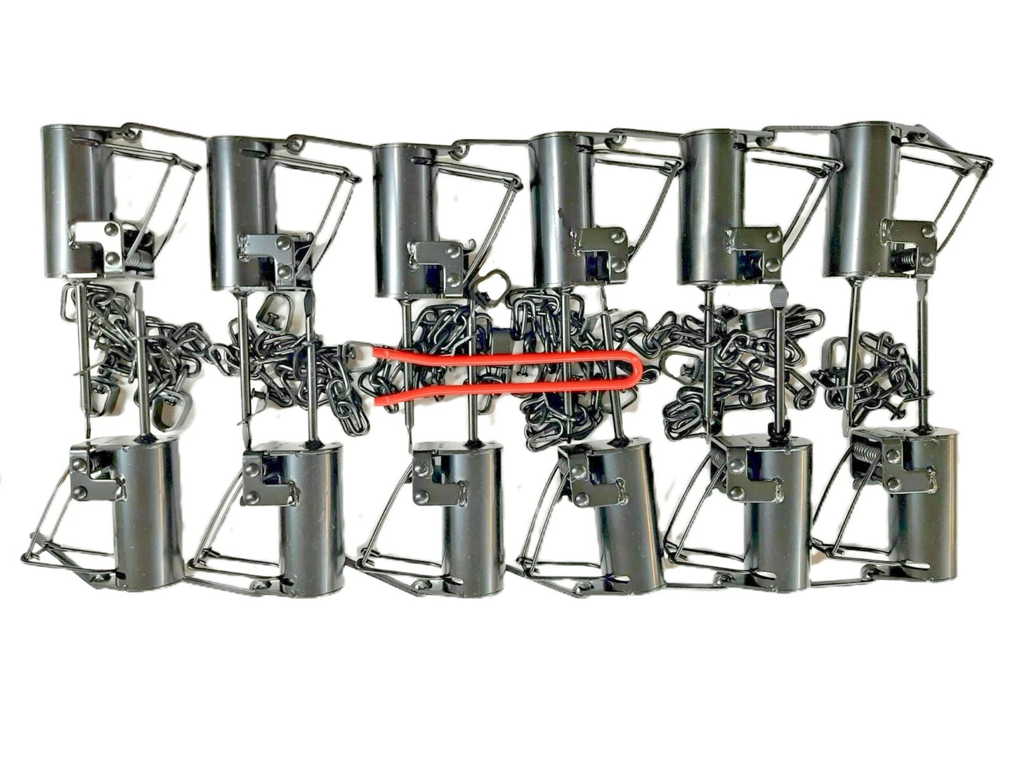 12, Brand New Cold Creek Dog proof raccoon traps with setting tool
