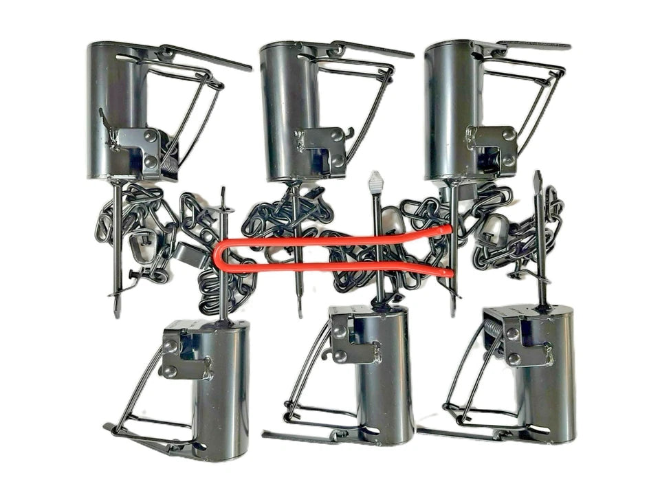 6, Brand New Cold Creek Dog proof raccoon traps with setting tool