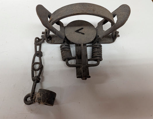 Used Victor and Duke 1.5 coil spring traps, UVICDuke1.5
