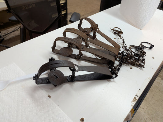 Used Victor #1 Long Spring Traps (#1LSPRING)