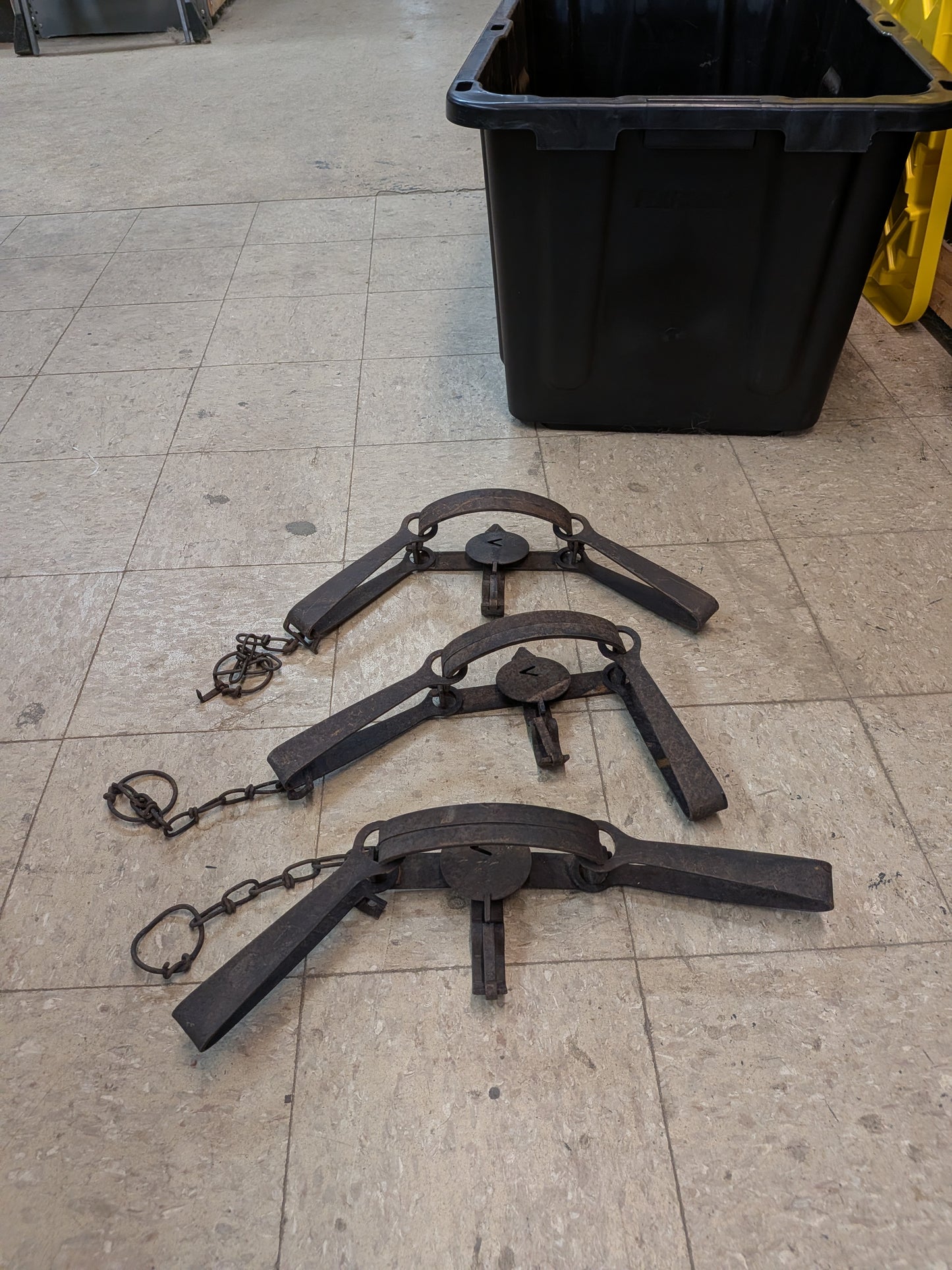 #4 Victor Double Long Spring Traps VIC#4DBLS