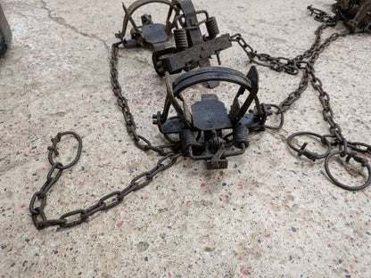 Used Northwoods 1.75 coil spring traps, coyote, bobcat, fox etc. NW1.75