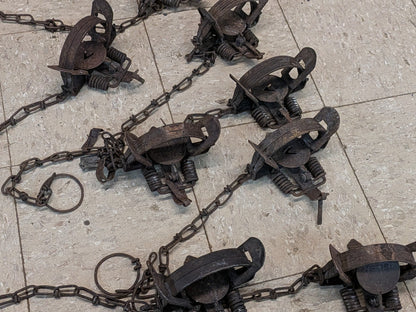 Used Victor and Duke 1.5 coil spring traps, UVICDuke1.5