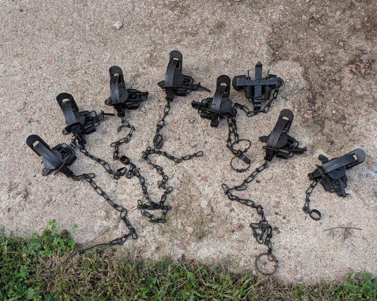 Used Victor and Duke 1.5 coil spring traps, UVICDuke1.5