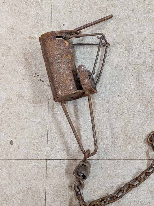 Li'L Griz, dog proof raccoon traps (lilgriz)