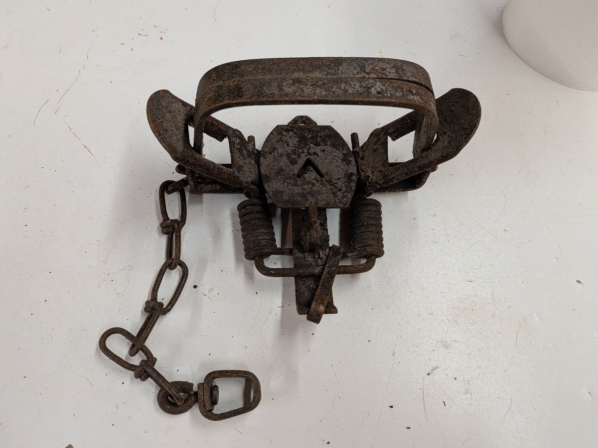 Used Victor #2 coil spring traps (vic#2coil)