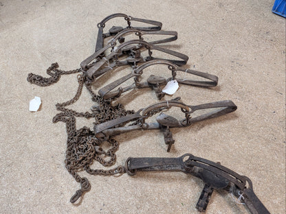 Victor 3N Traps, coyote, bobcat, excellent condition (3N)