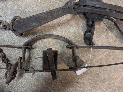 Victor 3N Traps, coyote, bobcat, excellent condition (3N)