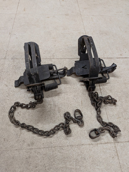 Two Victor #4 Coil Spring Traps, Offset (2vic#4os)