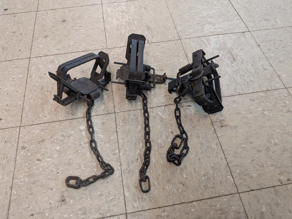 3, Bridger #2 Coil Spring Traps, Offset (3br#2OS)