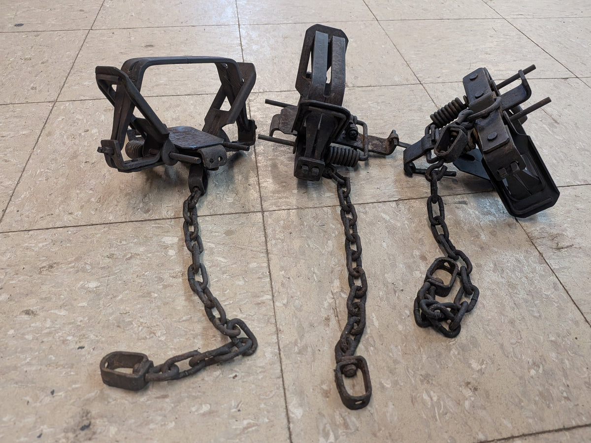 3, Bridger #2 Coil Spring Traps, Offset (3br#2OS)