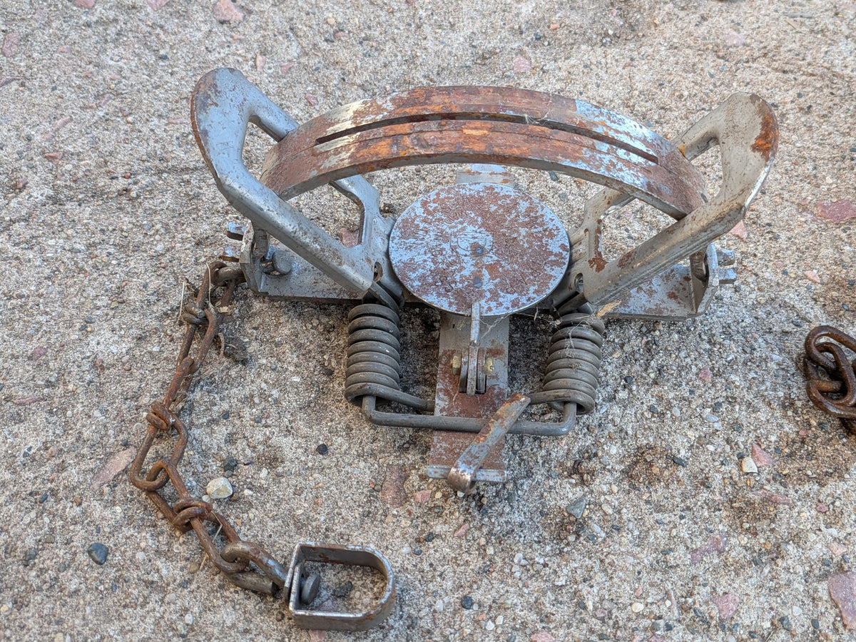 #3 Duke Coil Spring Trap Duke#3 Offset