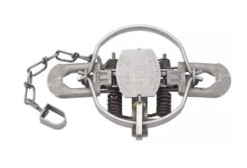 Duke #1.75 4 x 4 Coil Spring Trap 5.25" Jaw Spread, Each